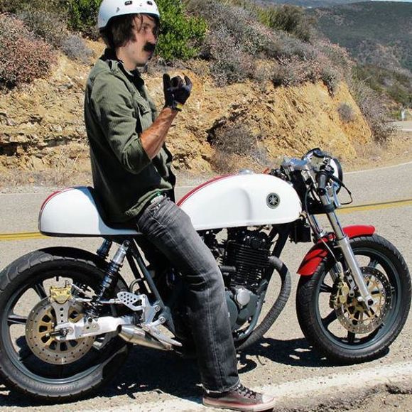 Meet your Posher, Max - Picture 1 of 1