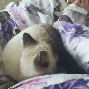 Meet your Posher, Hina