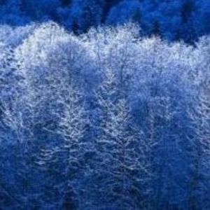 Meet your Posher, Judy