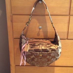 Authentic Coach Hobo