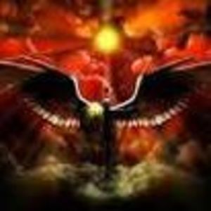 Meet your Posher, Beverly