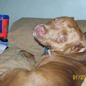 Meet your Posher, Tanja