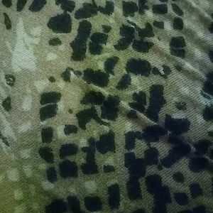 Meet your Posher, Chipp