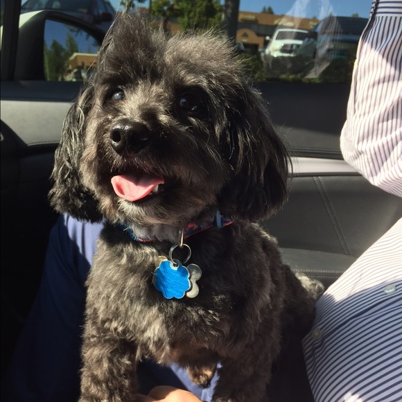 Meet your Posher, Jorge - Picture 1 of 1