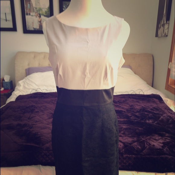 H&M Silver Gray and Black Lace sheath dress