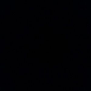 Meet your Posher, Damaris