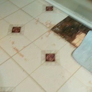 Meet your Posher, Matt