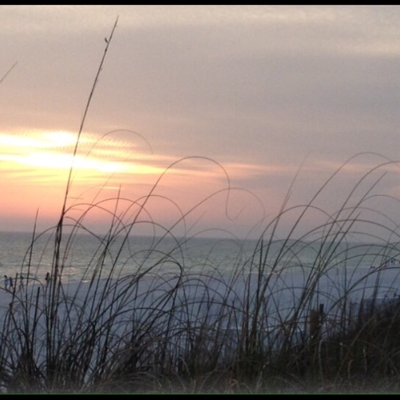 Meet your Posher, Lisa - Picture 1 of 1