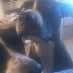 Meet your Posher, Shannon