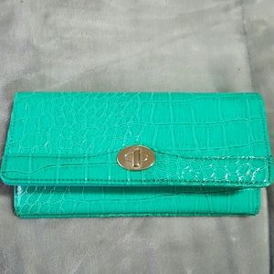 Teal wallet/oranizer
