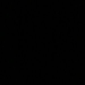 Meet your Posher, Warren