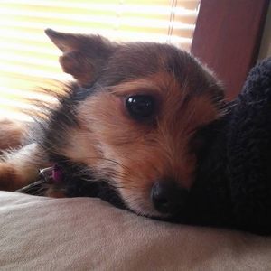 Meet your Posher, Nicole