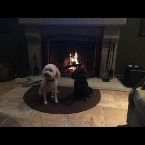 Meet your Posher, Susan