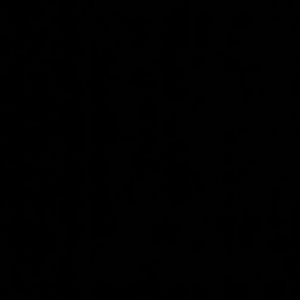 Meet your Posher, Dee