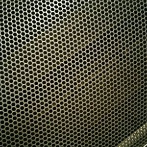 Meet your Posher, Lyndee