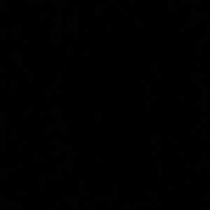 Meet your Posher, Marla