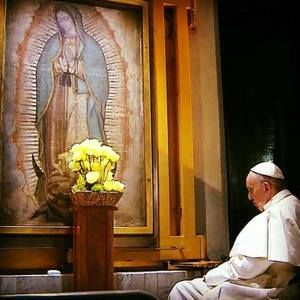 Meet your Posher, Carlos