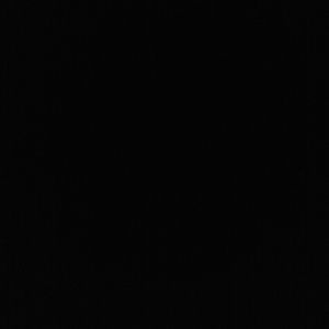 Meet your Posher, Jaden