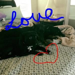 Meet your Posher, Heather