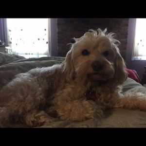 Meet your Posher, Vicki