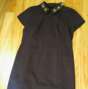 Ann Taylor Dress