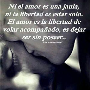 Meet your Posher, Fabiola