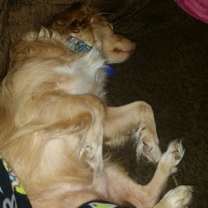 Meet your Posher, Judy