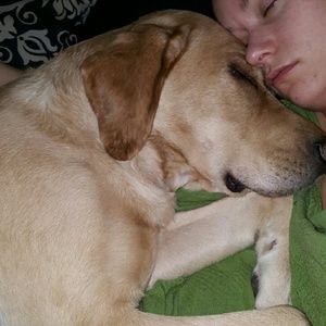 Meet your Posher, Brianna