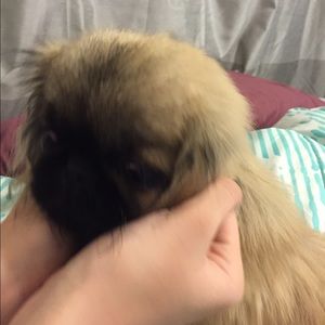 Meet your Posher, Kayla