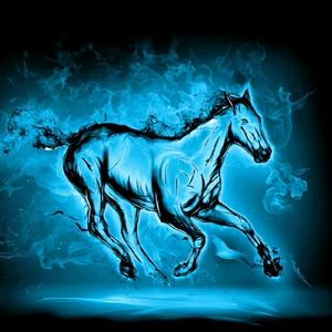 Meet your Posher, Antonio