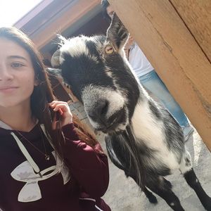 Meet your Posher, Kristin