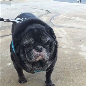 Meet your Posher, Nadia