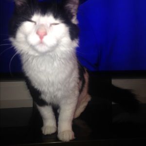 Meet your Posher, Brisa