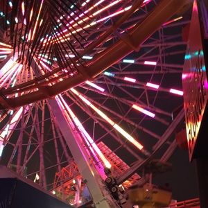 Meet your Posher, Norma