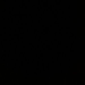 Meet your Posher, Holley