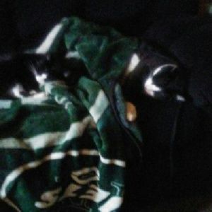 Meet your Posher, Philip