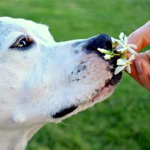 Meet your Posher, Linette