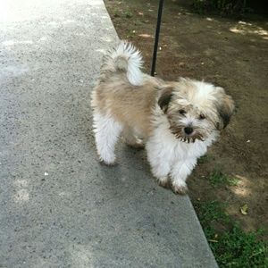 Meet your Posher, Sandra