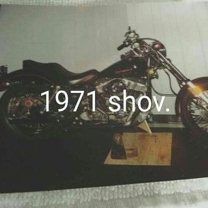 Meet your Posher, Garry