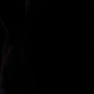 Meet your Posher, Karin