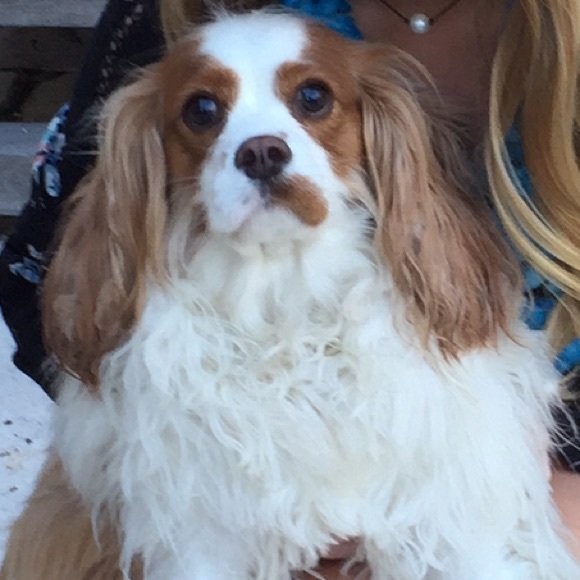 Meet your Posher, Holland