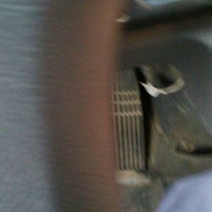 Meet your Posher, Shelly