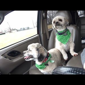 Meet your Posher, Teeter