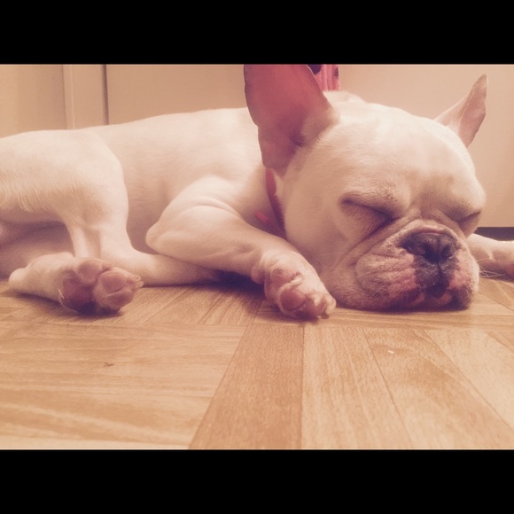 Meet your Posher, Rocio - Picture 1 of 1