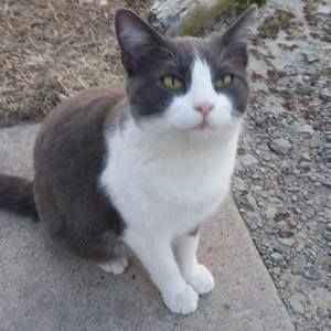 Meet your Posher, Douglas