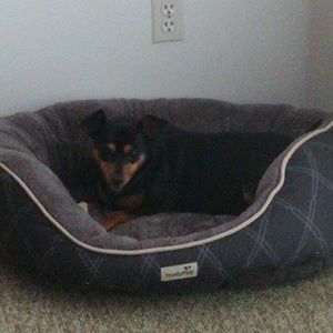 Meet your Posher, Monica