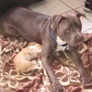 Meet your Posher, Lesley