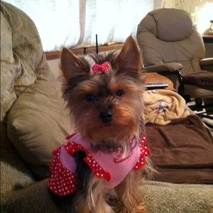 Meet your Posher, Sheila