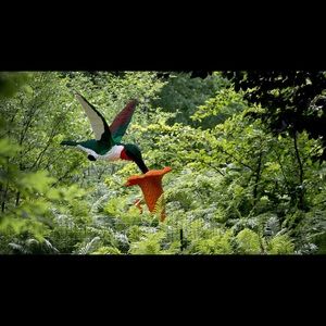 Meet your Posher, Sue