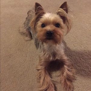 Meet your Posher, Min